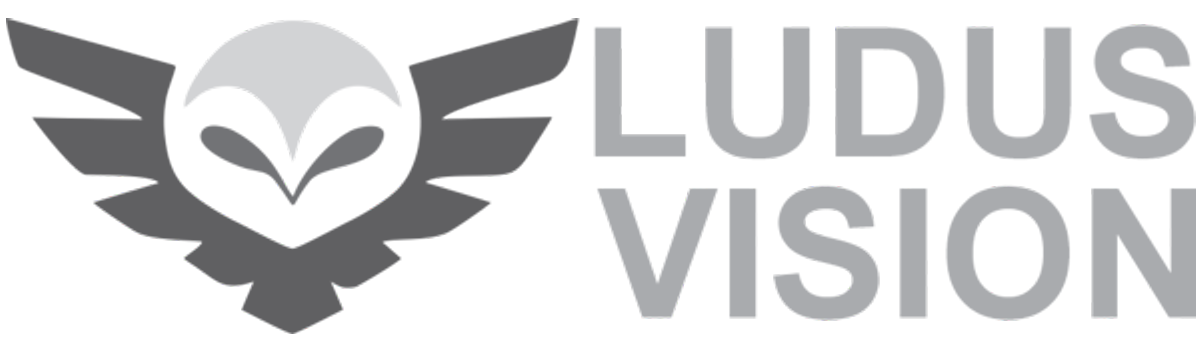 Ludus Vision - Especialistas em Segurança e Autodefesa